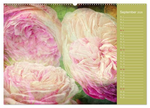 Produktbild: Romantische Rosen (Wandkalender 2026 DIN A2 quer), CALVENDO Monatskalender