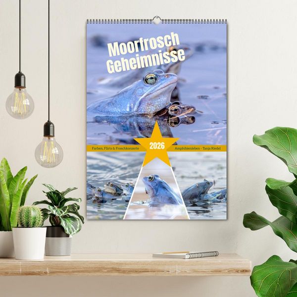Produktbild: Moorfrosch Geheimnisse &ndash; Farben, Flirts & Froschkonzerte - Tanja Riedel (Wandkalender 2026 DIN A2 hoch), CALVENDO Monatskalender
