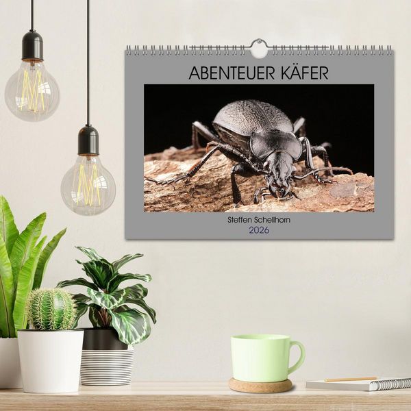 Produktbild: ABENTEUER K&Auml;FER (Wandkalender 2026 DIN A4 quer), CALVENDO Monatskalender