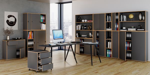 Produktbild: B&uuml;roschrank Aktenschrank Sideboard Salia 5fach