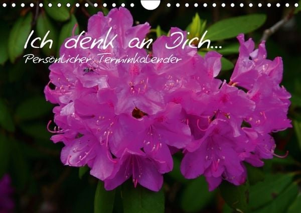 Produktbild: Ich denk an Dich ... Pers&ouml;nlicher Terminkalender (Wandkalender immerw&auml;hrend DIN A4 quer)
