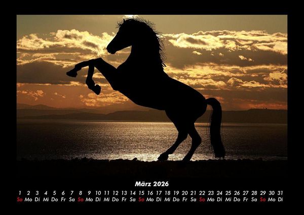 Produktbild: Pferde Kalender 2026 Fotokalender DIN A3