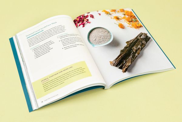 Produktbild: Edible & Medicinal Seaweeds