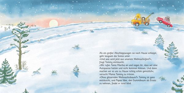 Produktbild: Lauras Weihnachtsstern (Pappbilderbuch)