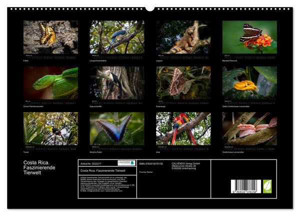 Produktbild: Costa Rica. Faszinierende Tierwelt (hochwertiger Premium Wandkalender 2026 DIN A2 quer), Kunstdruck in Hochglanz