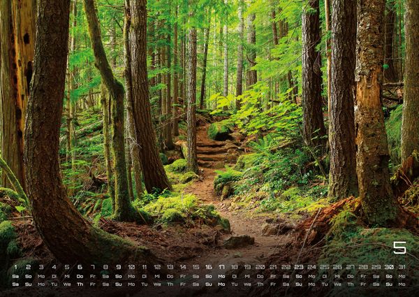 Produktbild: Wald - Erholung f&uuml;r Mensch und Tier - 2027 - Kalender DIN A2