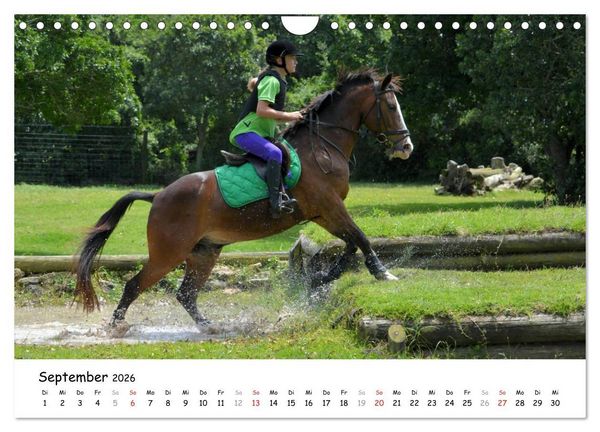 Produktbild: Pony Springreiten (Wandkalender 2026 DIN A4 quer), CALVENDO Monatskalender