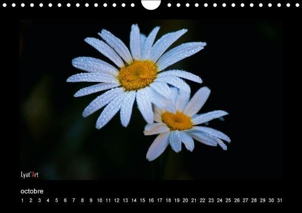 Produktbild: Liatard, A: Fleurs et couleurs (Calendrier mural Calendrier