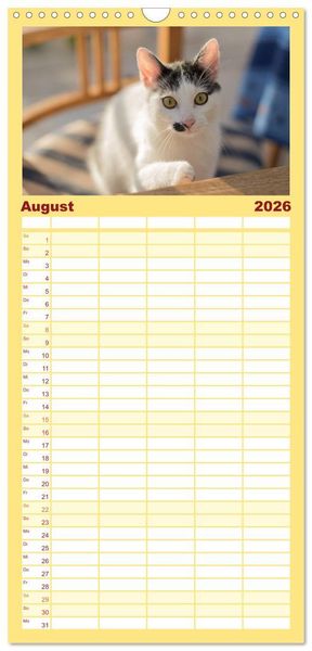 Produktbild: Familienplaner 2026 - Tierschutzkatzen vom TSV-Neuss - Gro&szlig;es Gl&uuml;ck auf sanften Pfoten mit 5 Spalten (Wandkalender, 21 x 45 cm) CALVENDO