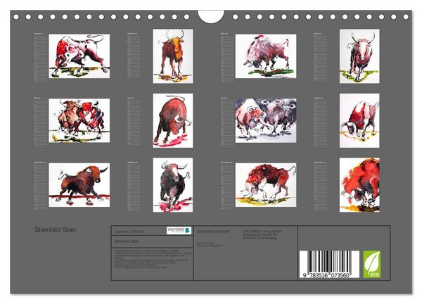 Produktbild: Sternbild Stier (Wandkalender 2026 DIN A4 quer), CALVENDO Monatskalender