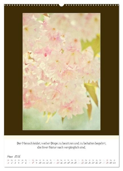 Produktbild: Der Buddhistische Weisheiten Kalender (Wandkalender 2026 DIN A2 hoch), CALVENDO Monatskalender