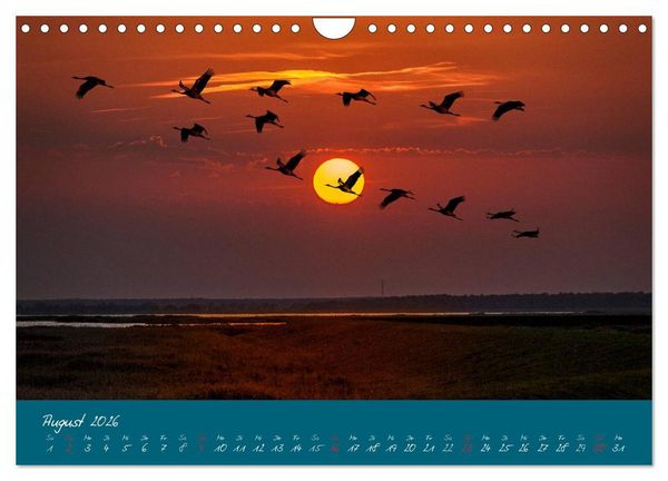 Produktbild: Blick auf die Halbinsel Fischland, Dar&szlig; und Zingst (Wandkalender 2026 DIN A4 quer), CALVENDO Monatskalender