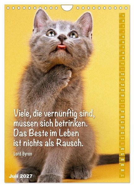 Produktbild: Der literarische Katerkalender (Wandkalender 2027 DIN A4 hoch), CALVENDO Monatskalender