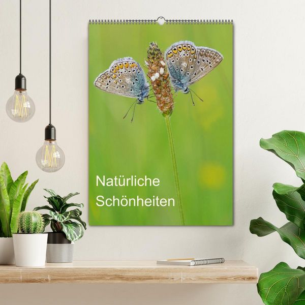 Produktbild: Insekten,Sch&ouml;nheiten der Natur (Wandkalender 2026 DIN A2 hoch), CALVENDO Monatskalender