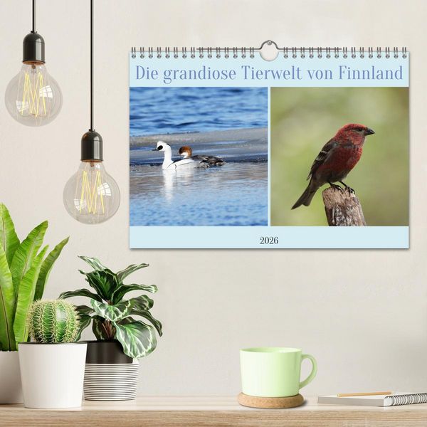 Produktbild: Die grandiose Tierwelt von Finnland (Wandkalender 2026 DIN A4 quer), CALVENDO Monatskalender