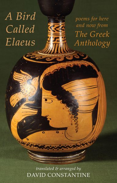 Produktbild: A Bird Called Elaeus