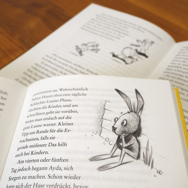 Produktbild: Ayda, B&auml;r und Hase