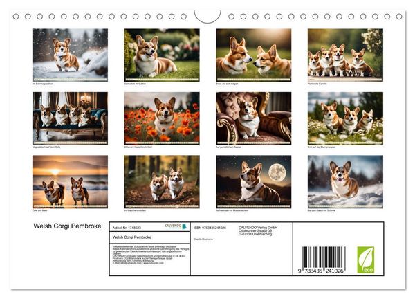 Welsh Corgi Pembroke (Wandkalender 2025 DIN A4 quer), CALVENDO Monatskalender