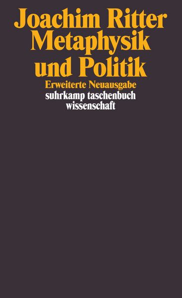 Produktbild: Metaphysik und Politik