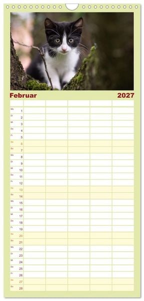 Produktbild: Familienplaner 2027 - Kitten auf Entdeckungsreise mit 5 Spalten (Wandkalender, 21 x 45 cm) CALVENDO