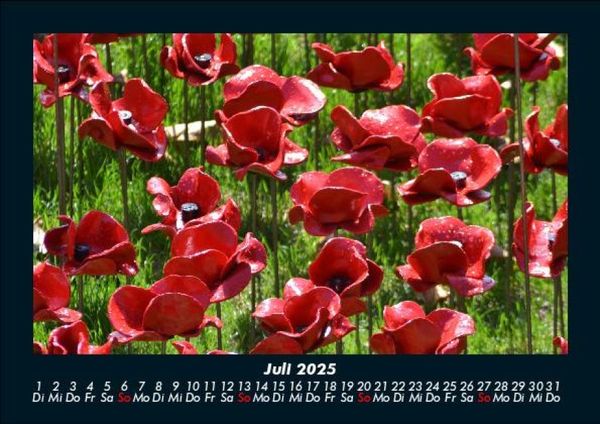 Produktbild: Blumenzauber 2025 Fotokalender DIN A5