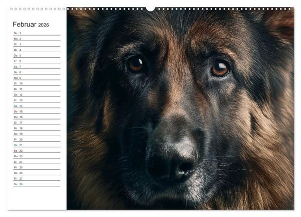 Produktbild: Hundegl&uuml;ck (Wandkalender 2026 DIN A2 quer), CALVENDO Monatskalender