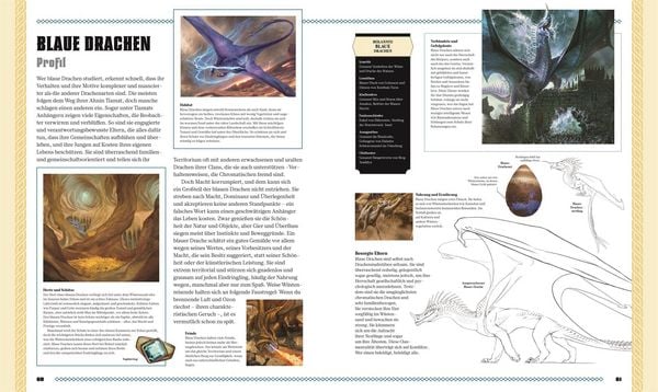Produktbild: Dungeons & Dragons Das Buch der Drachen