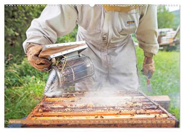 Produktbild: Der Imker: Leidenschaft f&uuml;r die Bienen (Wandkalender 2026 DIN A2 quer), CALVENDO Monatskalender