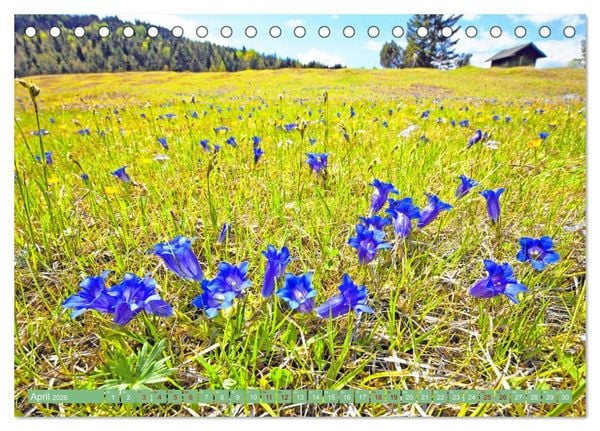 Produktbild: Rund um Mittenwald (Tischkalender 2026 DIN A5 quer), CALVENDO Monatskalender