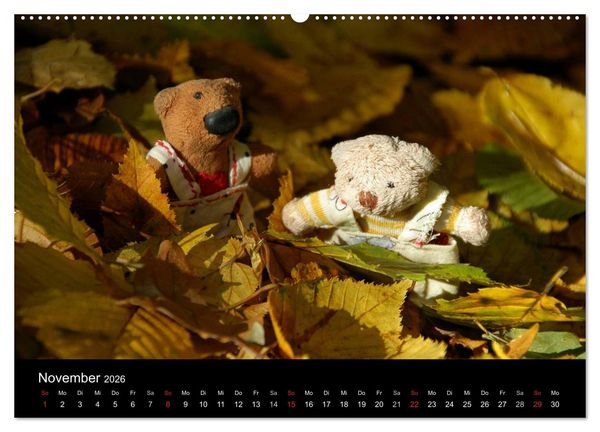 Produktbild: Der B&auml;rchenkalender 2026 (hochwertiger Premium Wandkalender 2026 DIN A2 quer), Kunstdruck in Hochglanz