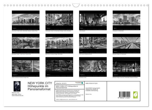 Produktbild: NEW YORK CITY H&ouml;hepunkte im Panoramaformat (Wandkalender 2026 DIN A3 quer), CALVENDO Monatskalender