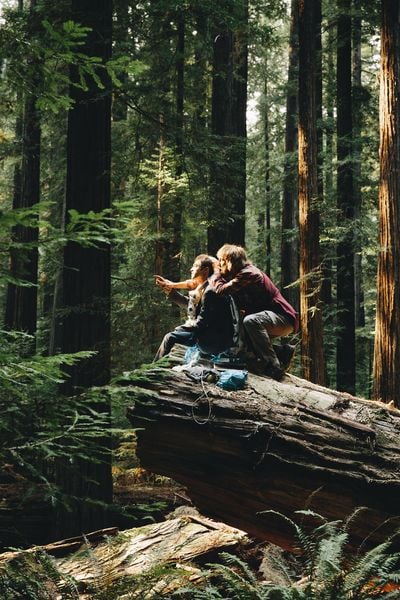 Produktbild: Swiss Army Man