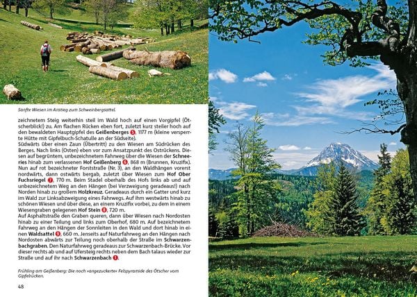 Produktbild: ROTHER Wanderf&uuml;hrer &Ouml;tscher - Mariazell