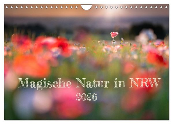 Magische Natur in NRW 2026 (Wandkalender 2026 DIN A4 quer), CALVENDO Monatskalender