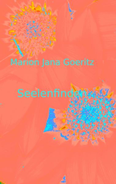 Produktbild: Seelenfinden