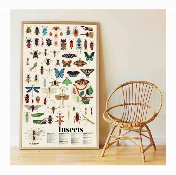 Produktbild: POPPIK - Lernposter & Sticker Insekten