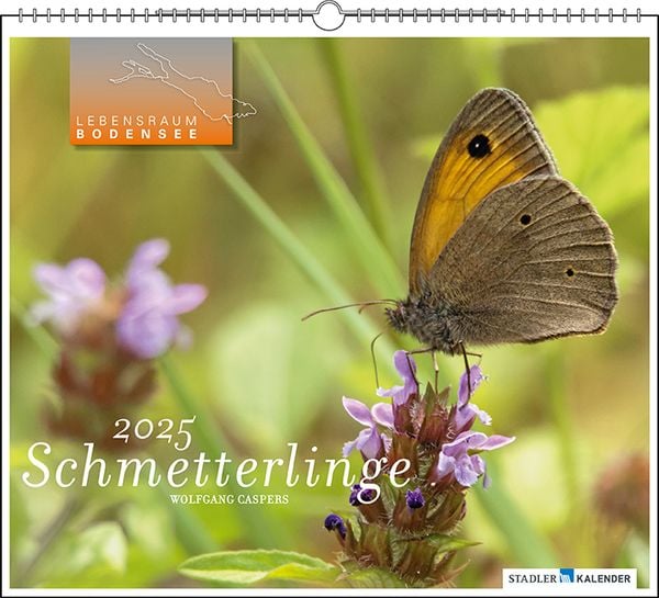 Lebensraum Bodensee - Schmetterlinge 2025