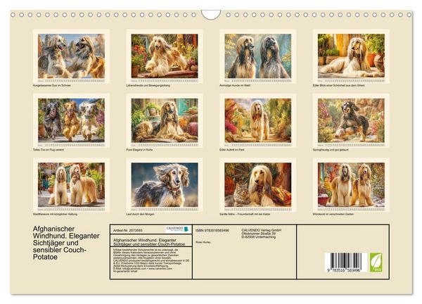 Produktbild: Afghanischer Windhund. Eleganter Sichtj&auml;ger und sensibler Couch-Potatoe (Wandkalender 2026 DIN A3 quer), CALVENDO Monatskalender