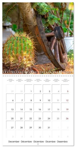 Produktbild: Harriette`s sweet garden (Wall Calendar 2027 12 &times; 12 Inch) CALVENDO 12 Month Wall Calendar