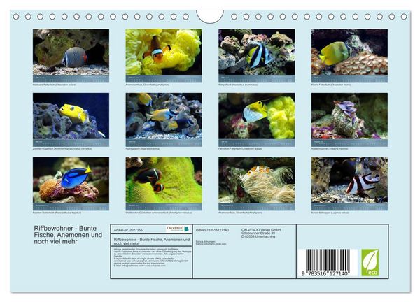 Produktbild: Riffbewohner - Bunte Fische, Anemonen und noch viel mehr (Wandkalender 2026 DIN A4 quer), CALVENDO Monatskalender