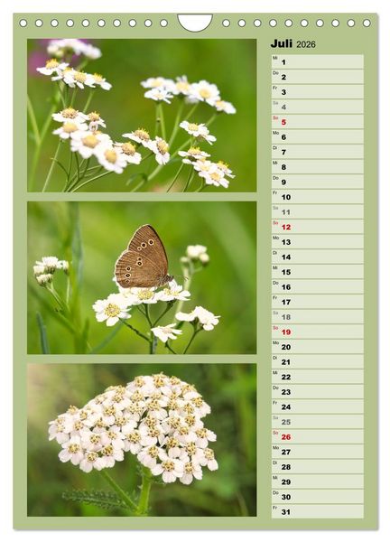 Produktbild: Farbenzauber, bunte Wiesen und bunte Falter (Wandkalender 2026 DIN A4 hoch), CALVENDO Monatskalender