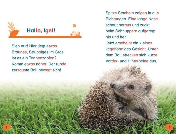 Produktbild: Superleser! Hallo, Igel!