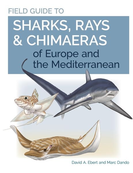 Produktbild: Field Guide to Sharks, Rays & Chimaeras of Europe and the Mediterranean