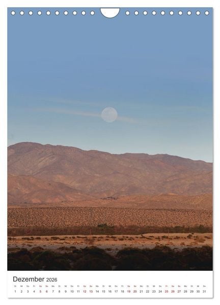 Produktbild: Palm Springs - Immer der Sonne nach. (Wandkalender 2026 DIN A4 hoch), CALVENDO Monatskalender