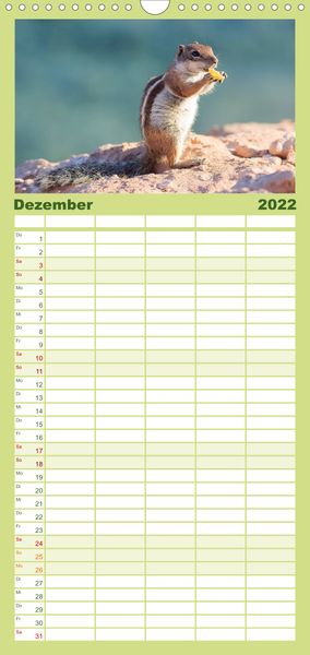Produktbild: Atlash&ouml;rnchen - Familienplaner hoch (Wandkalender 2022 , 21 cm x 45 cm, hoch)