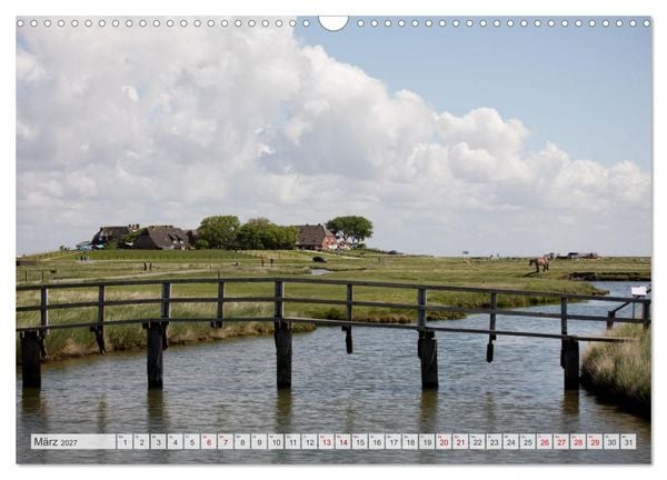 Produktbild: Wundersch&ouml;ne Hallig Hooge (Wandkalender 2027 DIN A3 quer), CALVENDO Monatskalender