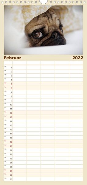 Produktbild: Mops - Familienplaner hoch (Wandkalender 2022 , 21 cm x 45 cm, hoch)