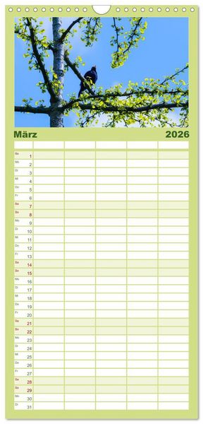 Produktbild: Familienplaner 2026 - Mit Ginkgo biloba durch das Jahr mit 5 Spalten (Wandkalender, 21 x 45 cm) CALVENDO