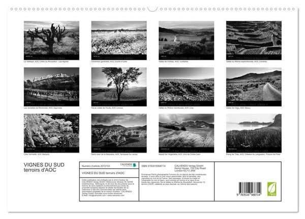 Produktbild: VIGNES DU SUD terroirs d'AOC (Calendrier mural 2026 DIN A2 vertical) calendrier de bureau