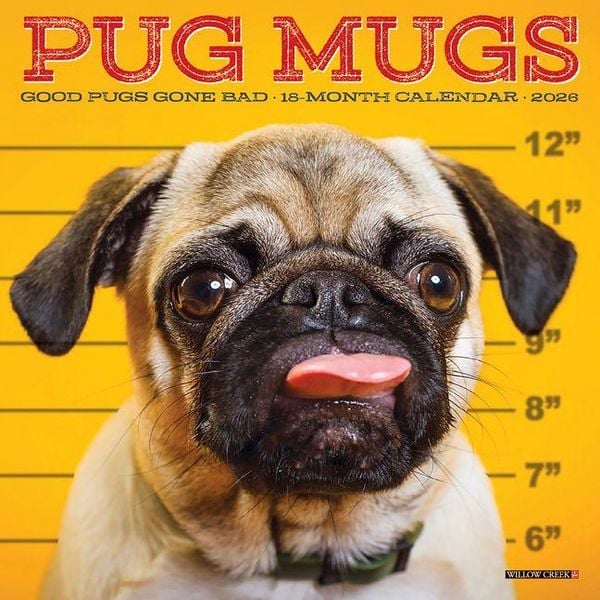 Produktbild: Pug Mugs 2026 Mini Wall Calendar